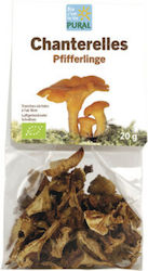 Pural Bio Pfifferlinge 20g 17614