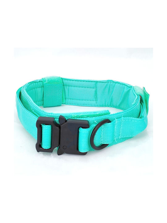 Breites Haustierhalsband M 2,5x57cm-hellblau Breites Haustierhalsband M 2,5x57cm-hellblau