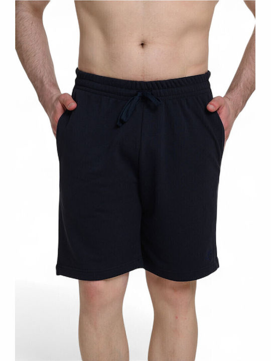 Target Men's Shorts Blue
