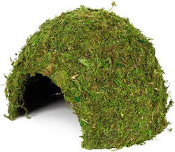 Φωλια Γαριδων Ψαριων Hobby Terrarium Jungle Cave 2 17x17x12 Cm Φωλια Γαριδων Ψαριων Hobby Terrarium Jungle Cave 2 17x17x12 Cm