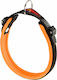 Ferplast Dog Leash/Lead Strap up to 20kg (Various Colors)