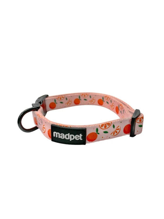 Madpet Hundehalsband Mandarin L 2,5x41/66cm