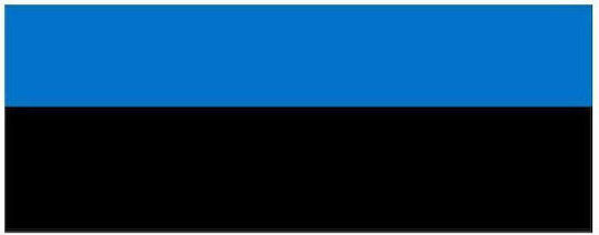 Flag of Estonia Polyester Perforated 25x18cm