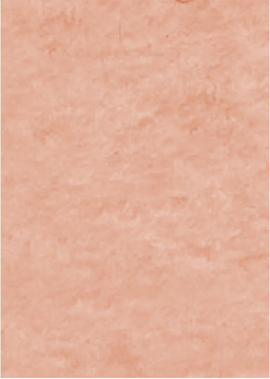Τσοχα Werola Hobby Felt 20x30 10φ 73 Flesh
