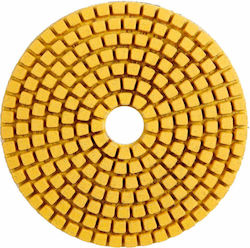 Distar Standard Diamond Polishing Disc 100mm P 60