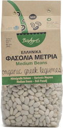 Medium Beans Bioagros Bio 500g Medium Beans Bioagros Bio 500g