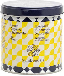 Symbeeosis Symbeeosis