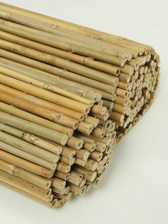 Ra-Ba Gard de Bambus cu Întregul Reed 1.5x3m