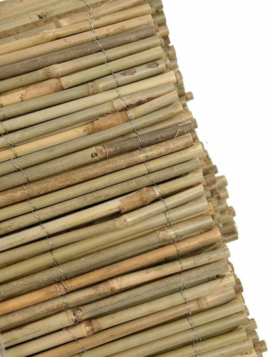 Ra-Ba Каламоти с Целият Рийд 2x5m