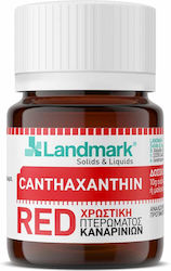 Landmark Χρωστική