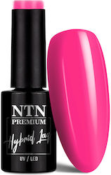 NTN Premium Sorbet Хибриден Лак за Нокти 151 5г...