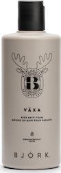 Björk Cleansing Foam 300ml