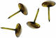 OEM Thumb Tacks Oxide 30pcs 8x15mm