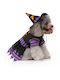 Pet Halloween Costume Witch S 24cm