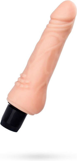 Realistic Vibrator with Remote Control 16cm