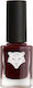 All Tigers Natürlicher & Veganer Glossy Nagellack 208 Weather The Storm 11ml