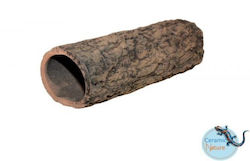 Ceramics Catfish Cave Medium