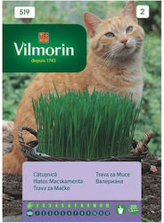 Семена за котешка трева Vilmorin 20g