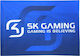 Σημαία SK Gaming