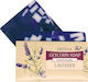 Fionna Cosmetics Soap Bar with Lavender & Glycerin 100gr