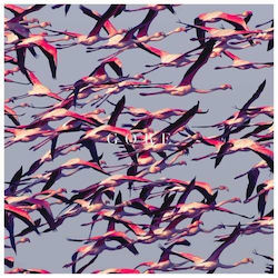 Deftones Gore 2 Vinyl