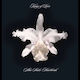 Kings Leon Aha Shake Heartbreak 2 Vinyl