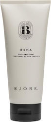 Björk Mască De Păr 200ml