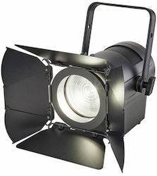 Elation Kl Fresnel 150W 6" Cw