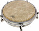 Pearl Congas