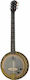 Deering Phoenix A E 6-string Banjo