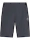 La Sportiva Men's Hiking Short Trousers Gray