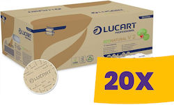 Prosop de mâini pliat ecologic Lucart Econatural V2, 2 straturi, 190 foi, cutie 20 pachete
