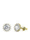 Brizzling Earrings made of Silver Gold Plated with Diamond