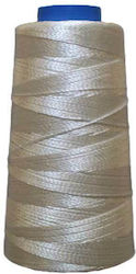 Astir 6002