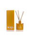 Sunshine & Cedar Diffuser 100ml Lucent Wxy