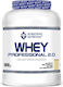 Scientiffic Nutrition Whey Professional 2.0 Βιολογική Πρωτεΐνη Ορού Γάλακτος με Γεύση Vanilla Cream 908gr