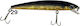 Bullbat Jet Minnow 8cm 6g 29