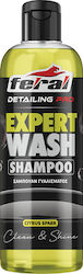 Feral Detailing Pro Σαμπουάν 750ml Feral Detailing Pro Σαμπουάν 750ml