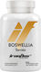 Ironflex Nutrition Boswellia Serrata 600mg 90 Capsule Pe Bază De Plante