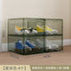 Plastic Shoe Storage Case 54cm