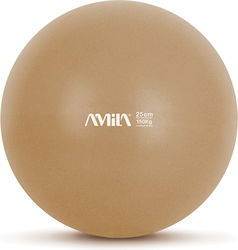 AMILA Mini Minge Pilates 25cm 0.18kg în culoare...