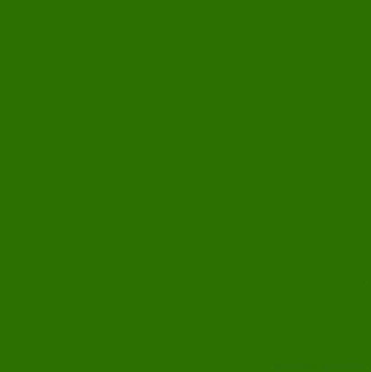 Φίλτρο Ζελατίνα Lee E-colour 124 Dark Green 1m