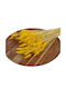 Lagurus Dried Bunny Tails 100 Gr Yellow