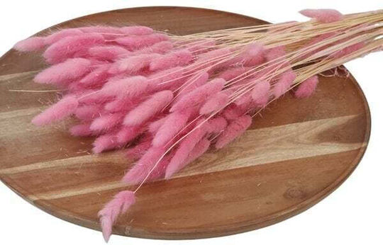 Lagurus Изсушени Bunny Tails 100 Гр Тъмно Розово