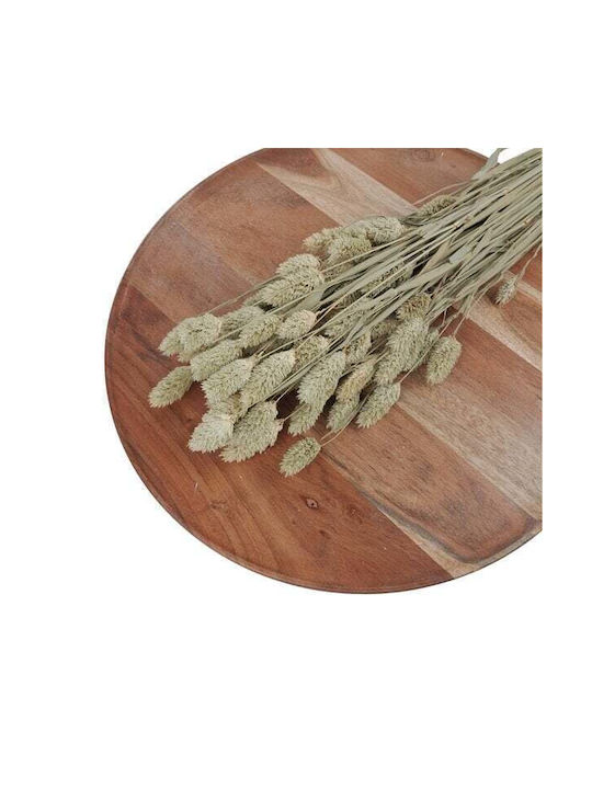 Phalaris Dried Flowers 100 Gr 60/70cm Natural Green
