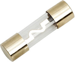 Auto-Sicherungen Hi-fi Goldbeschichtet 10 X 37 Mm 30 A Auto-Sicherungen Hi-fi Goldbeschichtet 10 X 37 Mm 30 A