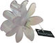 Beauty Salon Plastic Claw Flower Iridescent