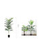 Galifas 8584354 Künstliche Dekorative Topfpflanze 150cm
