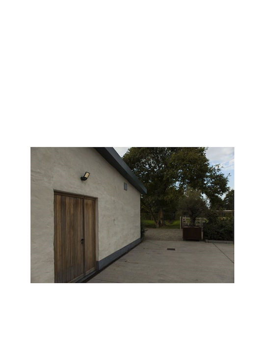 Lutec Wall-Mounted Outdoor Light 14.1x22.2x12.4εκ.