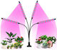 Schreibtisch Wachstumslicht mit LED und Leistung 80W
